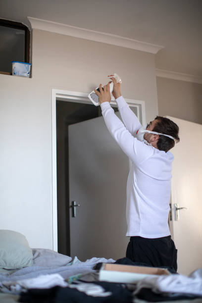 Best Mold Damage Restoration  in Fort Shawnee, OH