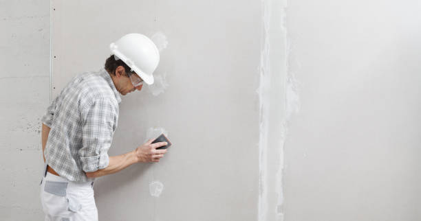 Best Industrial Mold Remediation  in Fort Shawnee, OH