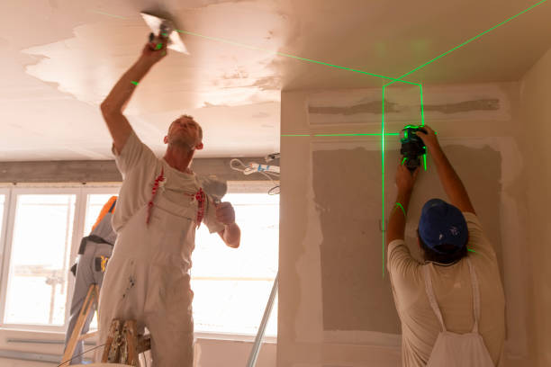 Best Basement Mold Removal  in Fort Shawnee, OH