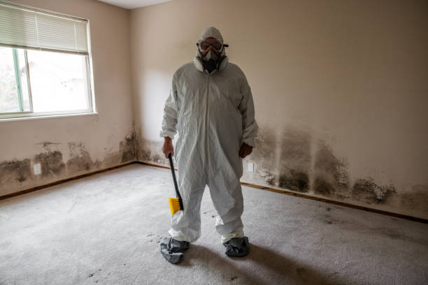 Best HVAC Mold Inspection and Cleaning  in Fort Shawnee, OH
